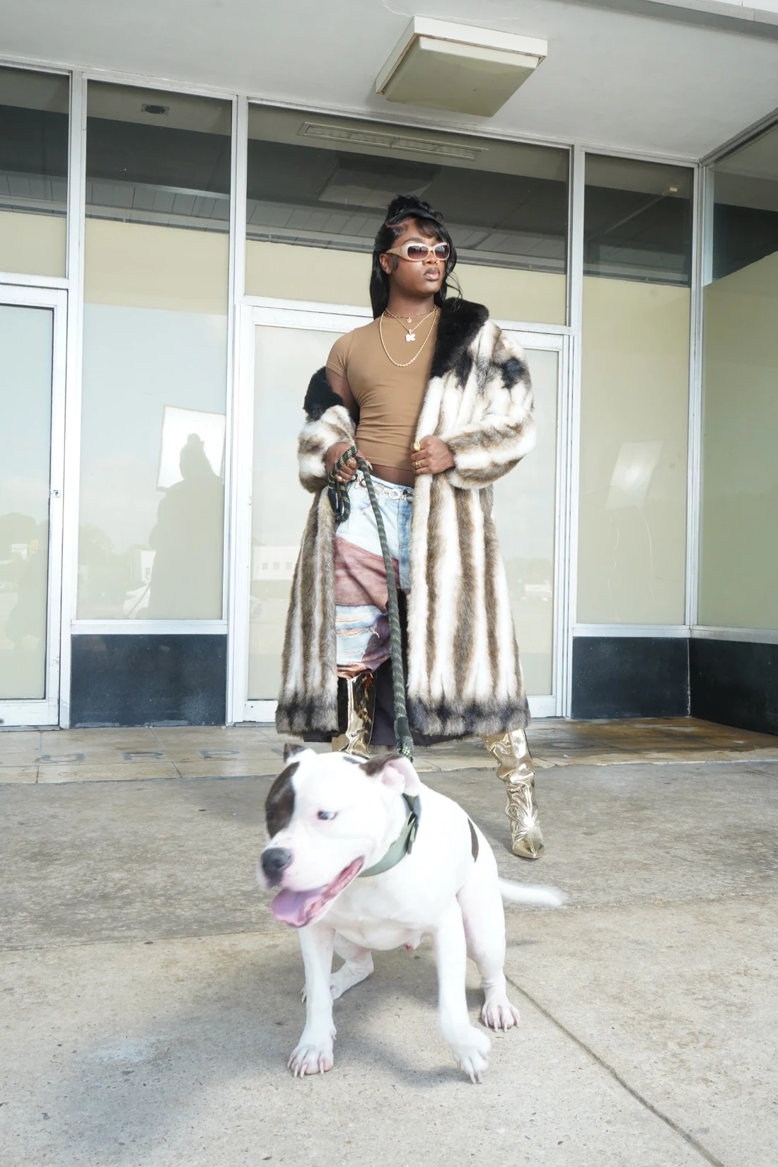 Lo-Key standing outdoors with a dog and a vehicle